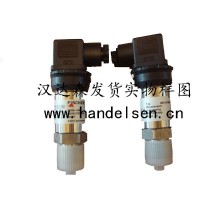 FISCHER用于爆炸危險區域的電阻溫度計TW85