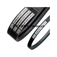 OPTIBELV型皮帶PH 955產品介紹