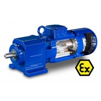 Bauer Gear用于爆炸危險區域的 IE4-PM