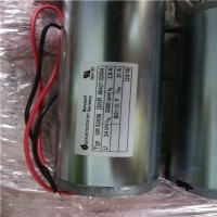 專業銷售直流電機G 30.1 G 30.1S-Dunkermotoren