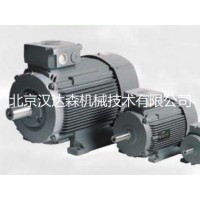 滑環電機K21R德國VEM直供