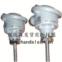 TEMATEC 高壓 DMP 333 的工業壓力發射機
