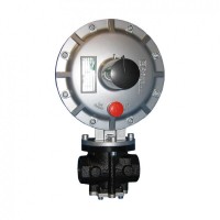 Pietro Fiorentini氣體調節器DIVAL500