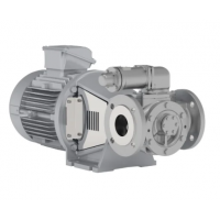 Johnson Pump 內嚙合齒輪泵，適用于中等粘度、清潔和非磨蝕性液體