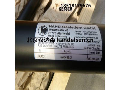 德國Hahn Gasfedern不銹鋼拉伸彈簧G08-19ST-28995國內現貨